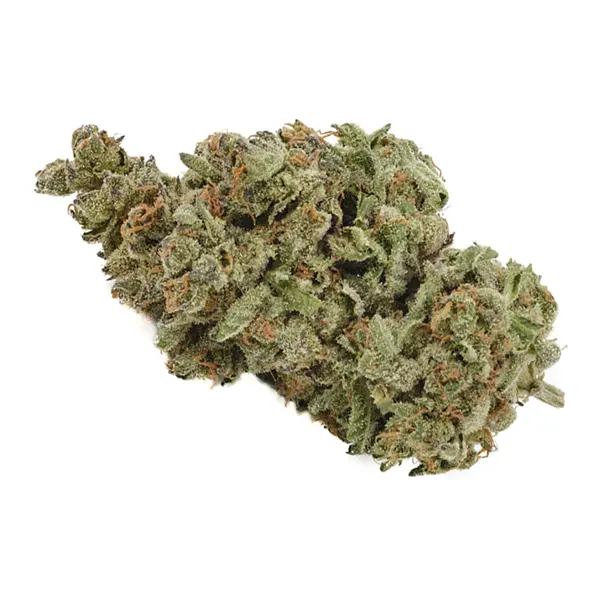 Bud image for Apple Fritter, cannabis all categories by Back Forty