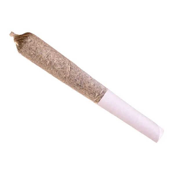 Apple Fritter Pre-Roll