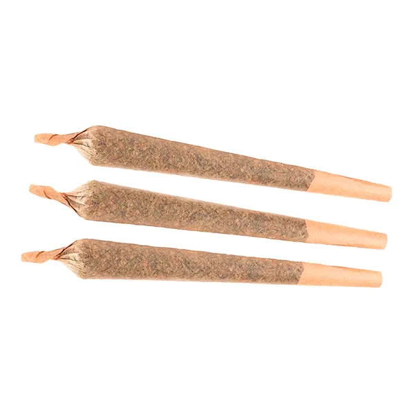 Apple Mintz Pre-Roll (Dried Flower) by Highland Grow