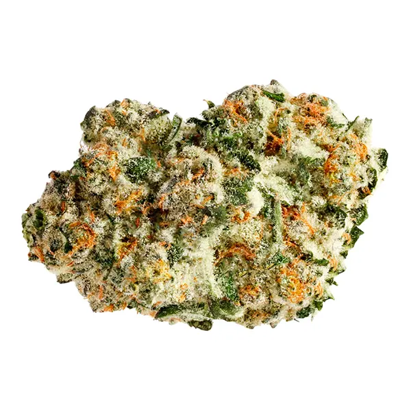 Bud image for Area 51, cannabis dried flower by Pure Sunfarms