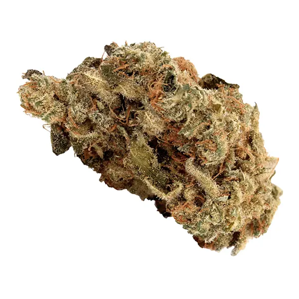 Bud image for Artisan, cannabis all categories by Homage