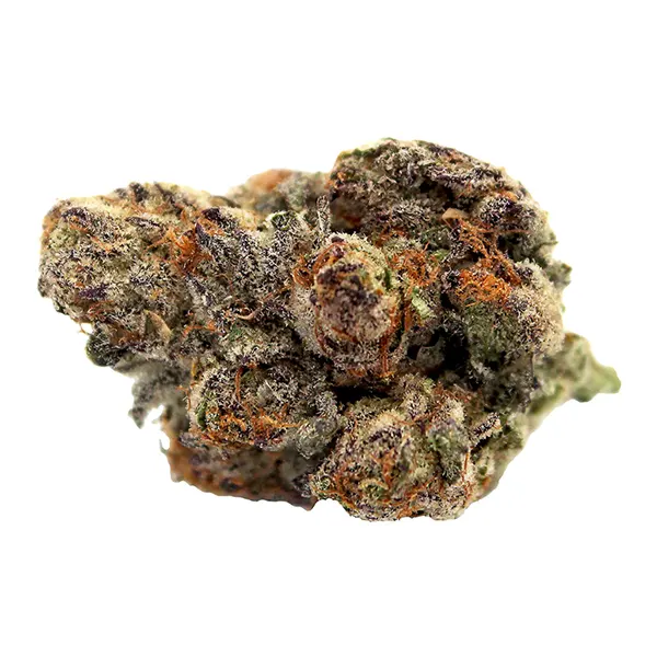 Bud image for Ash Premium, cannabis dried flower by F1NE Cannabis