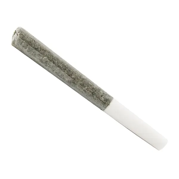 Product image for Assorted Multi Pack Pre-Roll, Cannabis Flower by 5 Points Cannabis