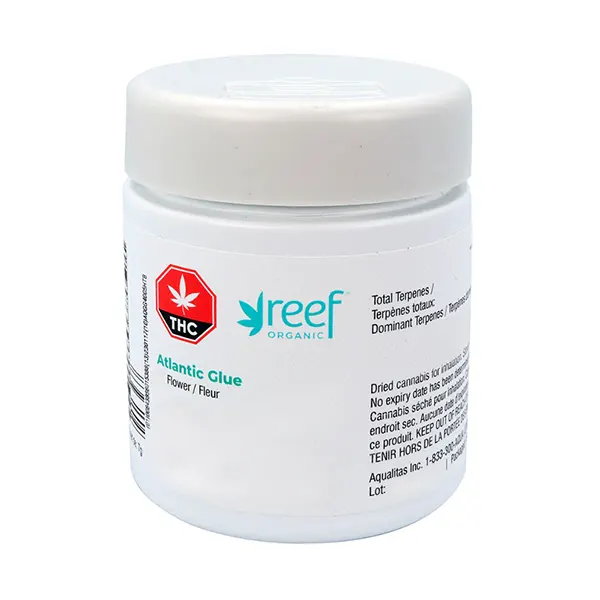 Image for Atlantic Glue, cannabis all categories by Reef Organic