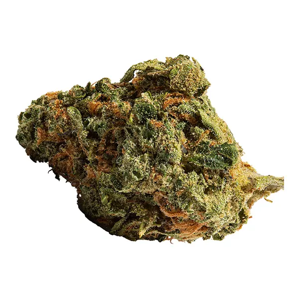 Bud image for Atomik Sour Haze, cannabis all categories by Original Stash