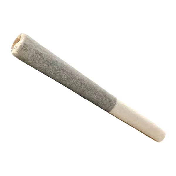 Product image for Avalanche Pre-Roll, Cannabis Flower by Tenzo