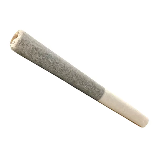 Avalanche Pre-Roll (Pre-Rolls) by Tenzo