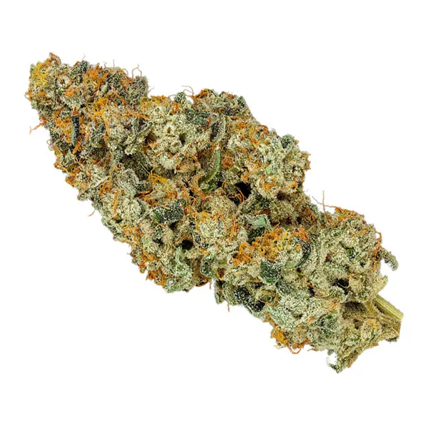 Product image for Axess, Cannabis Flower by Organnicraft