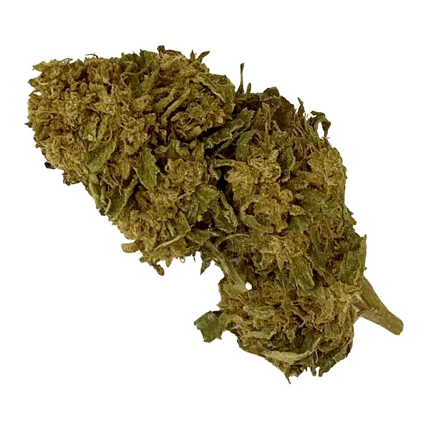 Bud image for B. Banner, cannabis all categories by Argentia Gold