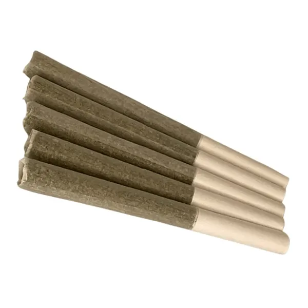 Product image for B. Banner Pre-Roll, Cannabis Flower by Argentia Gold