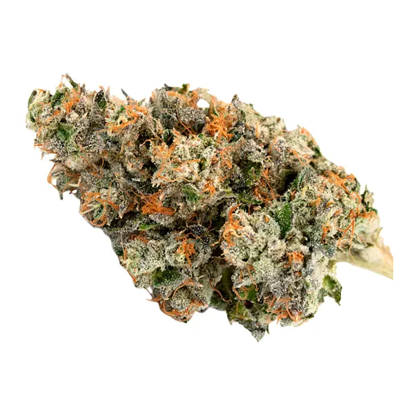 Bud image for B.C. Indica Signature Series, cannabis all categories by Canna Farms