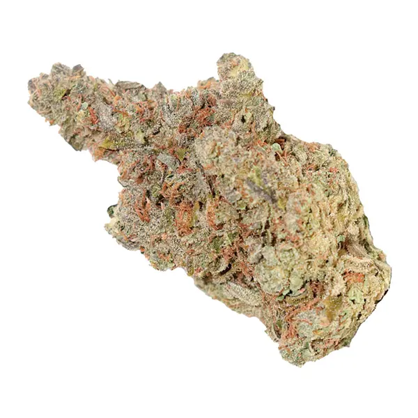 Bud image for Bag Rntz, cannabis dried flower by Evidence