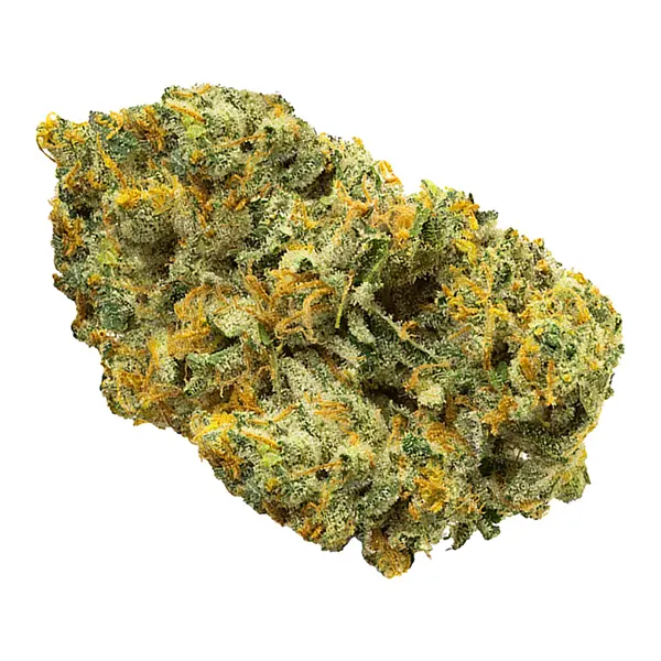 Bud image for Baked Alien, cannabis dried flower by Zip420