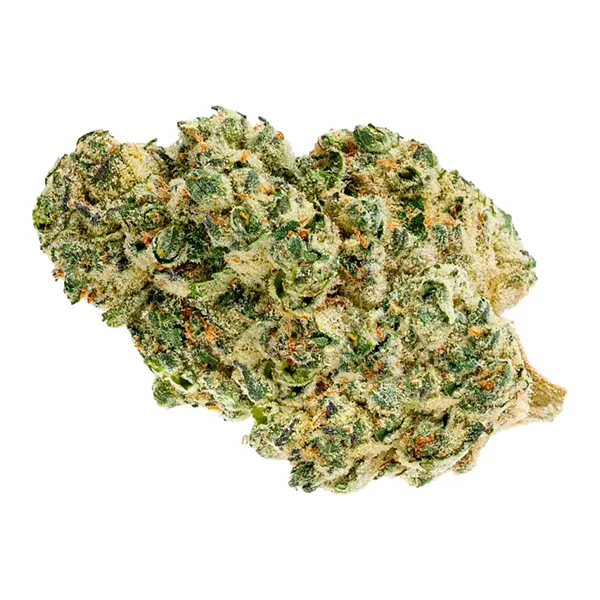 Bud image for Baked Animal, cannabis all categories by Pure Sunfarms