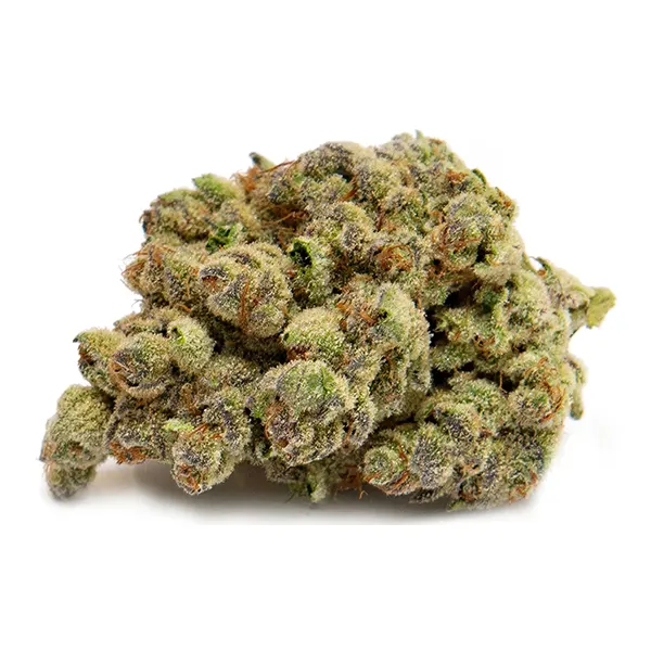 Bud image for Baked Grape Pie, cannabis all categories by Color Cannabis