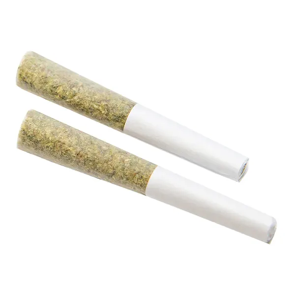 Baked Grape Pie Pre-Roll (Pre-Rolls) by Color Cannabis