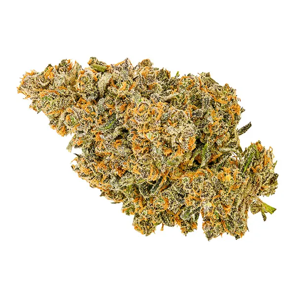 Bud image for Balanced Living Soil Organic, cannabis dried flower by Fuga