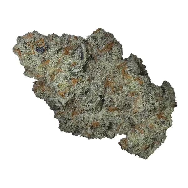 Bud image for Bamboo Honey, cannabis dried flower by Full Sesh