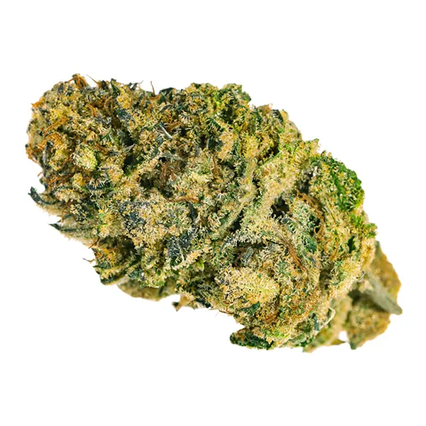 Bud image for Banana Brain, cannabis dried flower by JR Strain