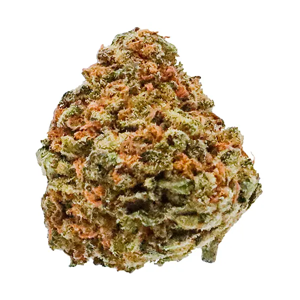 Bud image for Banana Cream, cannabis all categories by Potluck