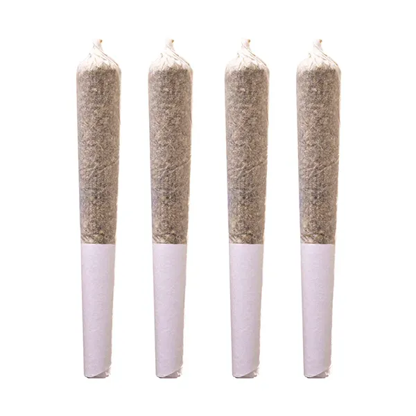 Image for Banana Cream Pre-Roll, cannabis all categories by Potluck