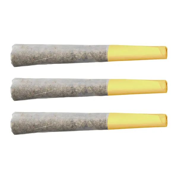 Product image for Banana Cream Pie Pre-Roll, Cannabis Flower by Terp Gush