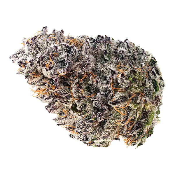 Bud image for Banana Daddy, cannabis dried flower by Current