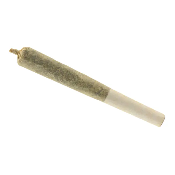 Image for Afghan Gold Hash Infused Pre-Roll, cannabis all categories by Nordique Royale