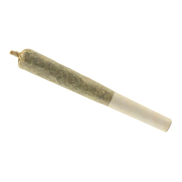 Image for Afghan Gold Hash Infused Pre-Roll, cannabis all products by Nordique Royale