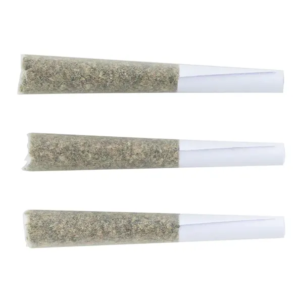 Big Hitter Infused Pre-Rolls (Pre-Rolls) by BIG