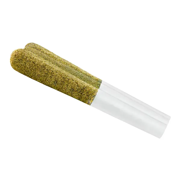 Image for Blackberry Kush CBN (Deep Dreamz) Infused Pre-Roll, cannabis all categories by Spinach Feelz