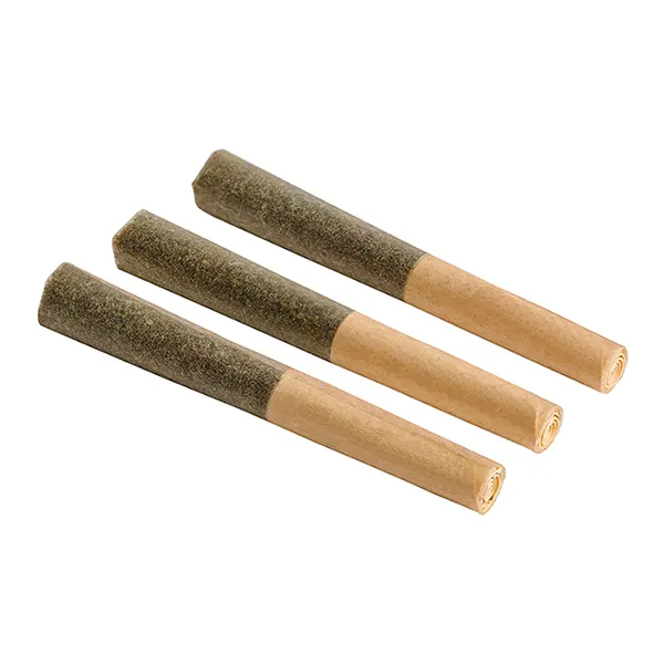 Image for Blackberry Vanilla Infused Pre-Roll, cannabis all categories by Back Forty