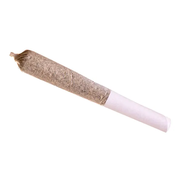 Image for Blue Dream Express Infused Pre-Roll, cannabis pre-rolls by Station House