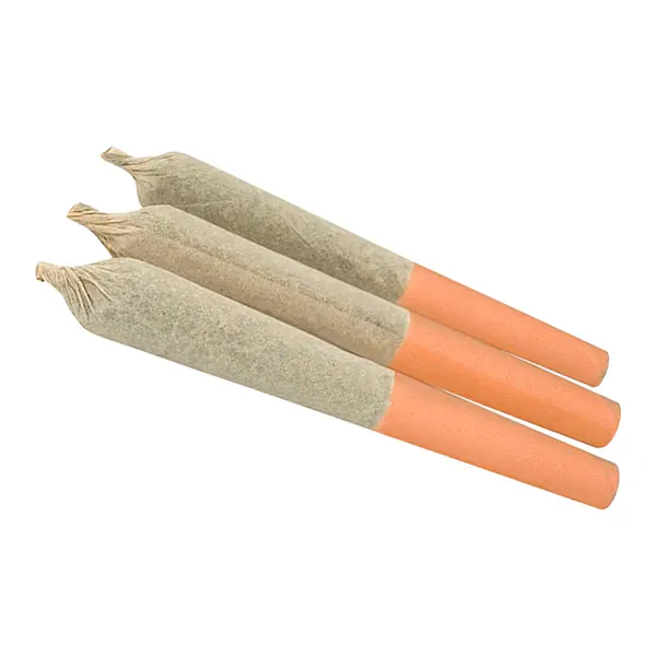 Blue Razzleberry Kush Infused Pre-Roll (Pre-Rolls) by Palmetto