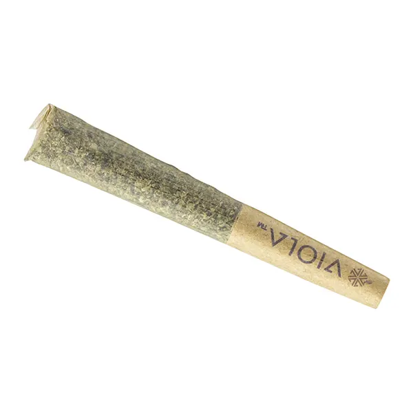 Image for Bucketz Diamond Infused Pre-Roll, cannabis all categories by Viola