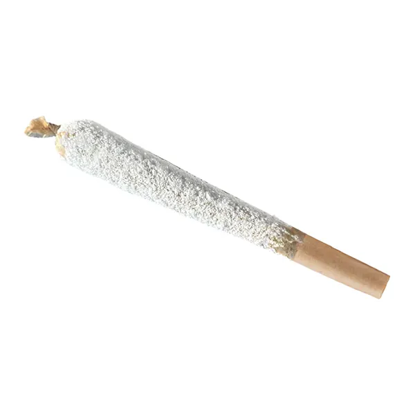 CBD Isolate + THC Infused Frosty Slugger Pre-Roll