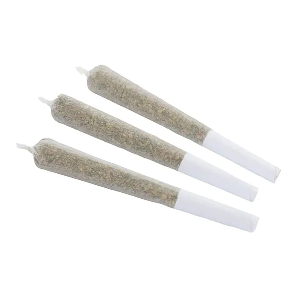 Cherry Jam Pocket Rocket Infused Pre-Roll