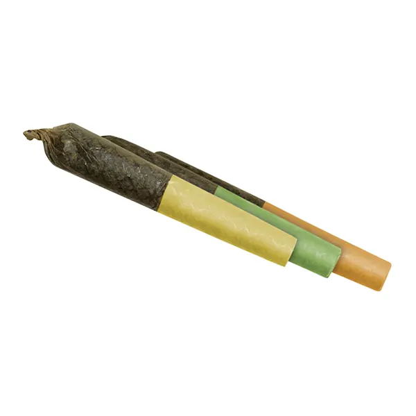 Product image for Citrus Special Resin Infused Pre-Roll Variety Pack, Cannabis Flower by Dab Bods