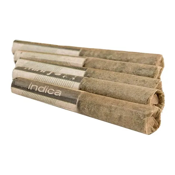 Image for Cool Mint Crush Infused Mini J's, cannabis all products by Violet Tourist