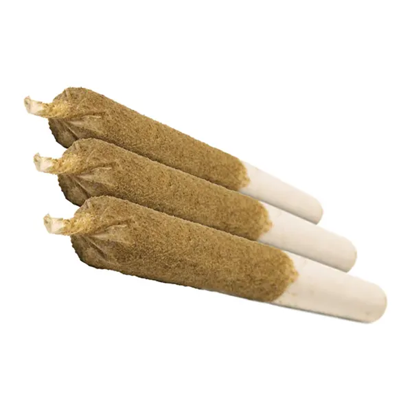 Distillate Infused Pre-Roll Taster Pack (Pre-Rolls) by General Admission