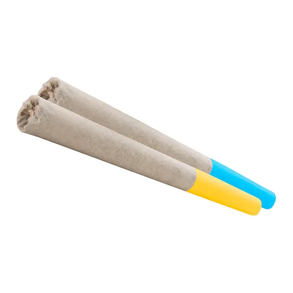 Image for Double Dutch Bus/WiFi 41xIce Cream Cake+Pineapple, cannabis pre-rolls by Jane & Juice