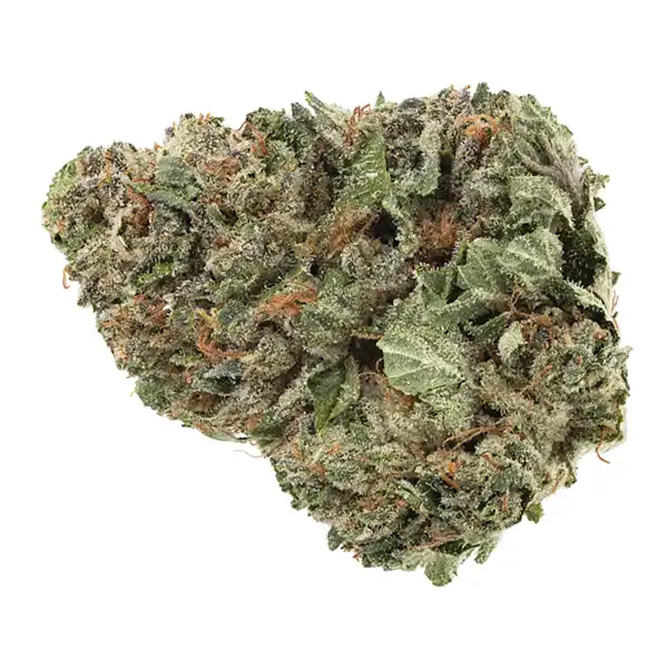 Bud image for Bandwagon Hybrid, cannabis dried flower by Homestead