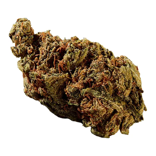 Bud image for BC God Bud, cannabis dried flower by Versus