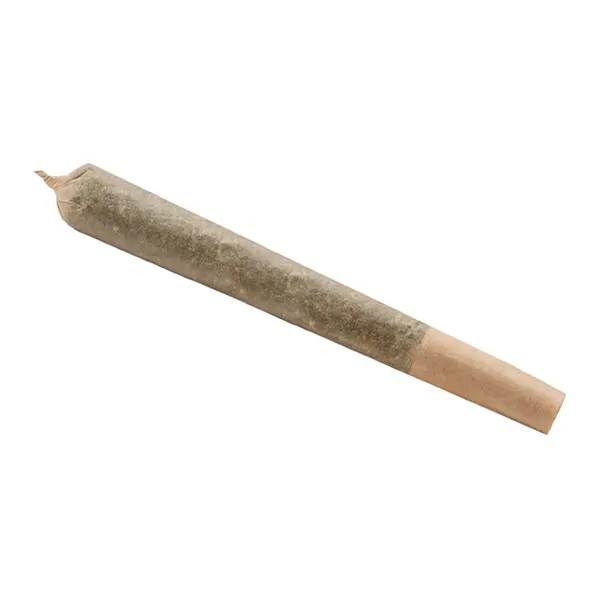 Image for BC God Bud Pre-Roll, cannabis all categories by Versus