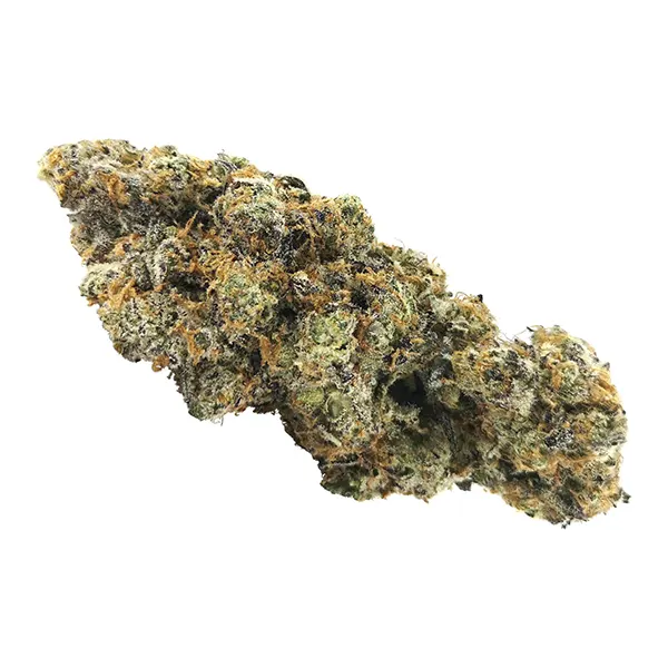 Bud image for BC Legacy Exotics, cannabis all categories by BC Black