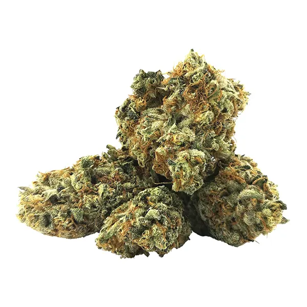 Bud image for BC Legacy OG, cannabis all categories by BC Black