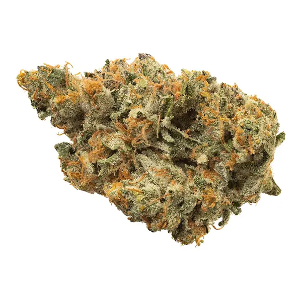 Bud image for BC Organic Island Pink Kush, cannabis all categories by Simply Bare