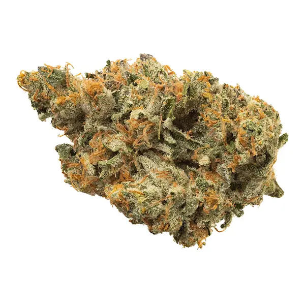 Bud image for BC Organic Island Pink Kush, cannabis dried flower by Simply Bare