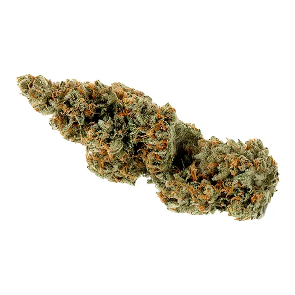 Bud image for BC Organic Lime Mi'jito, cannabis dried flower by Simply Bare