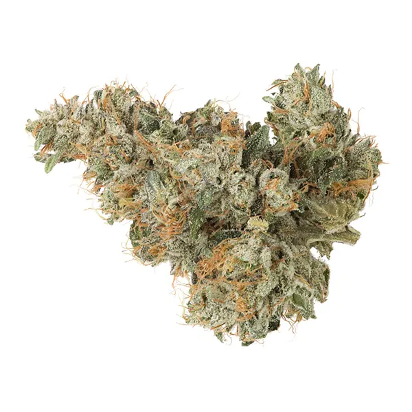 BC Organic Pemberton Pink (Dried Flower) by Coast Mountain Cannabis